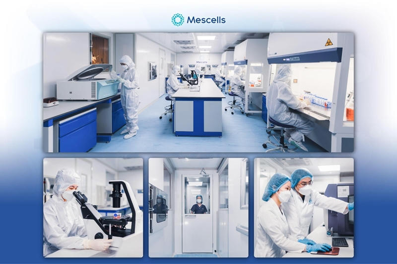 Công nghệ tế bào gốc và y học tái tạo thu hút nhiều người quan tâm