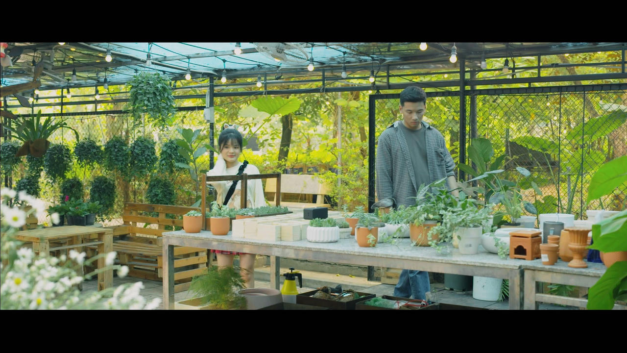 Những bí mật bị che giấu trong “Lỡ hẹn với ngày xanh”