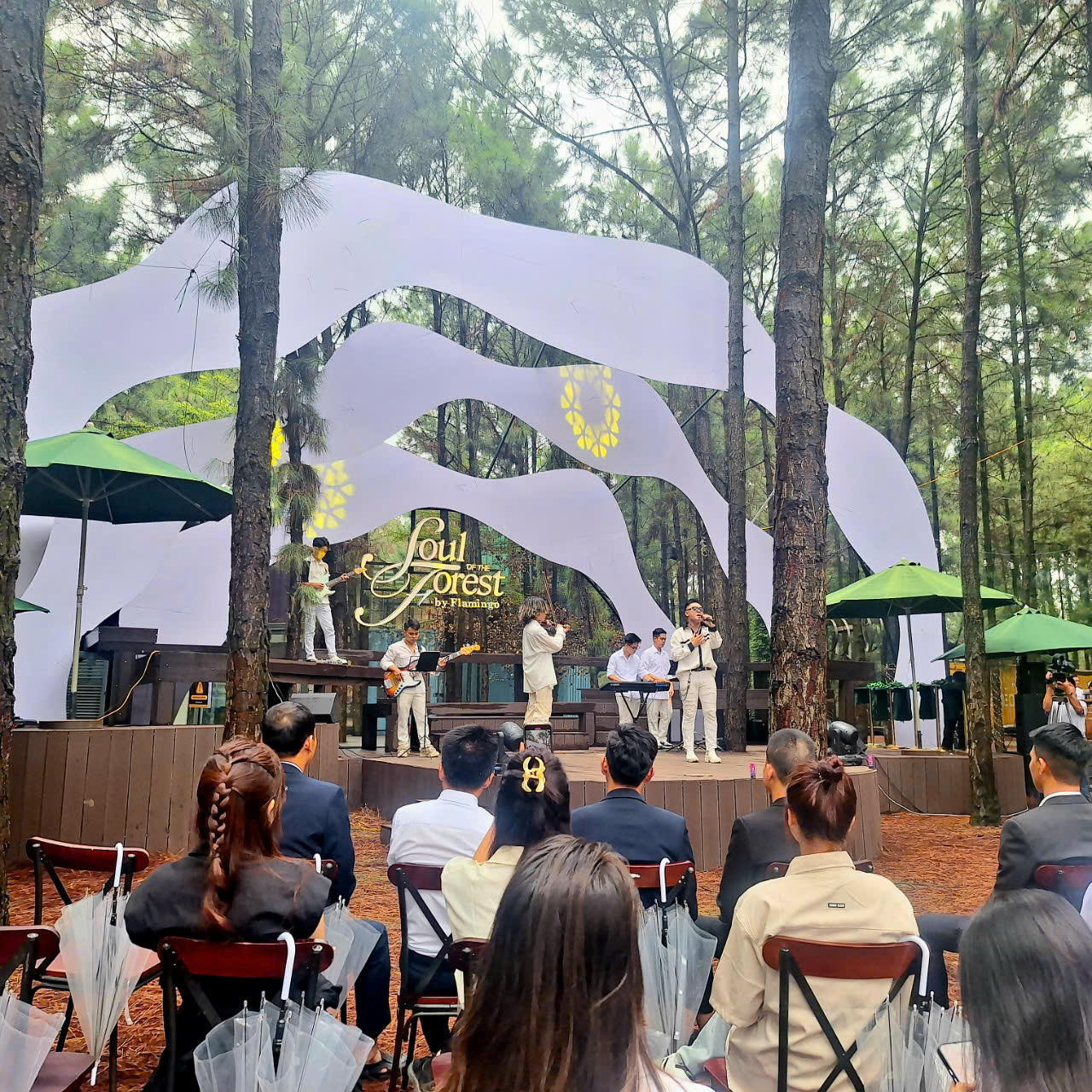 “Soul of the forest - Giai điệu của rừng thông”