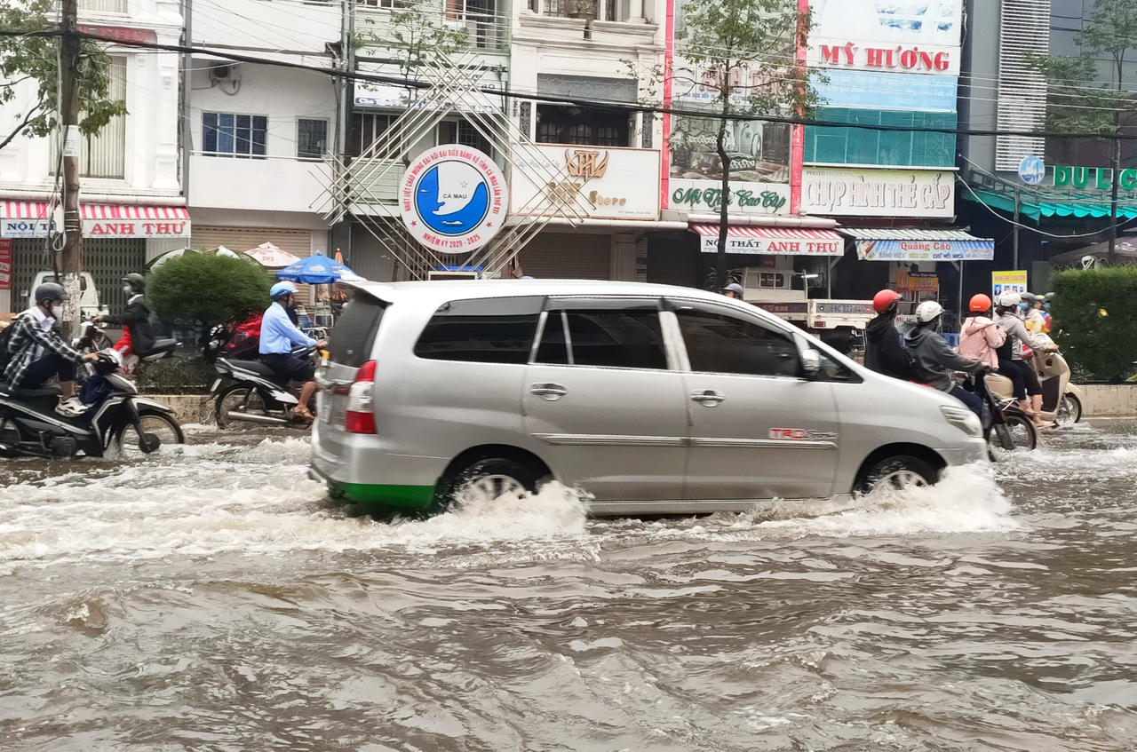 Thiệt hại hàng trăm tỷ đồng do triều cường ở Cà Mau