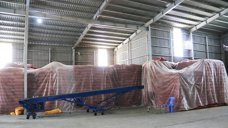 Khởi tố, bắt giam 02 anh em buôn lậu đậu xanh