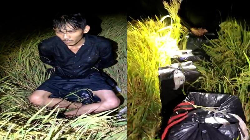 Bắt giữ 2.500 bao thuốc lá lậu trên cánh đồng biên giới