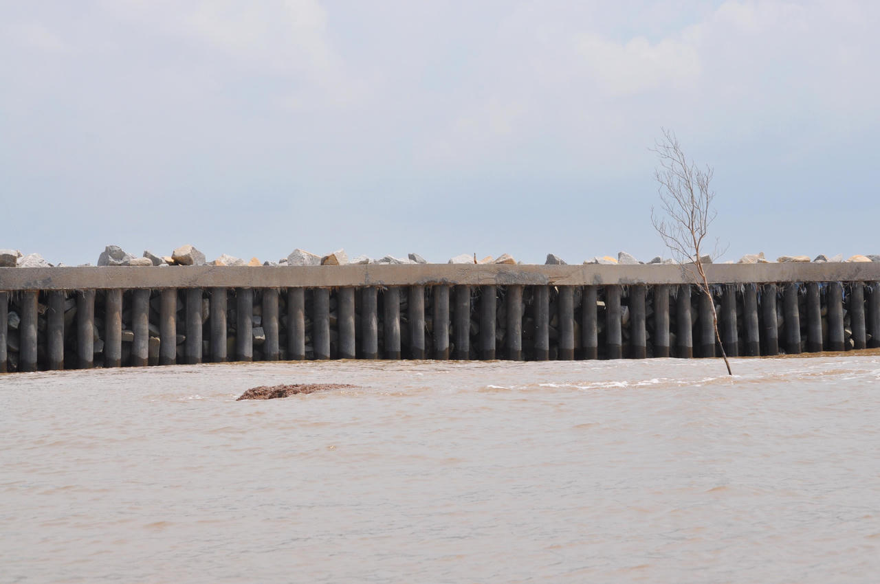Nghiên cứu kè biển để phòng, chống sạt lở bờ biển Cà Mau