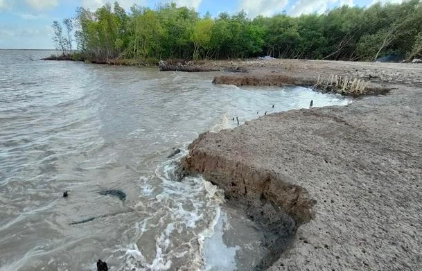 Cà Mau lo đối phó với 80% tổng chiều dài bờ biển bị xói lở