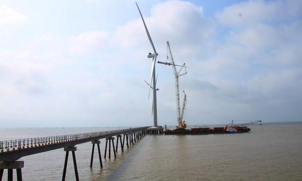 Dân nuôi tôm "tố" dự án điện gió làm “khổ” con tôm 