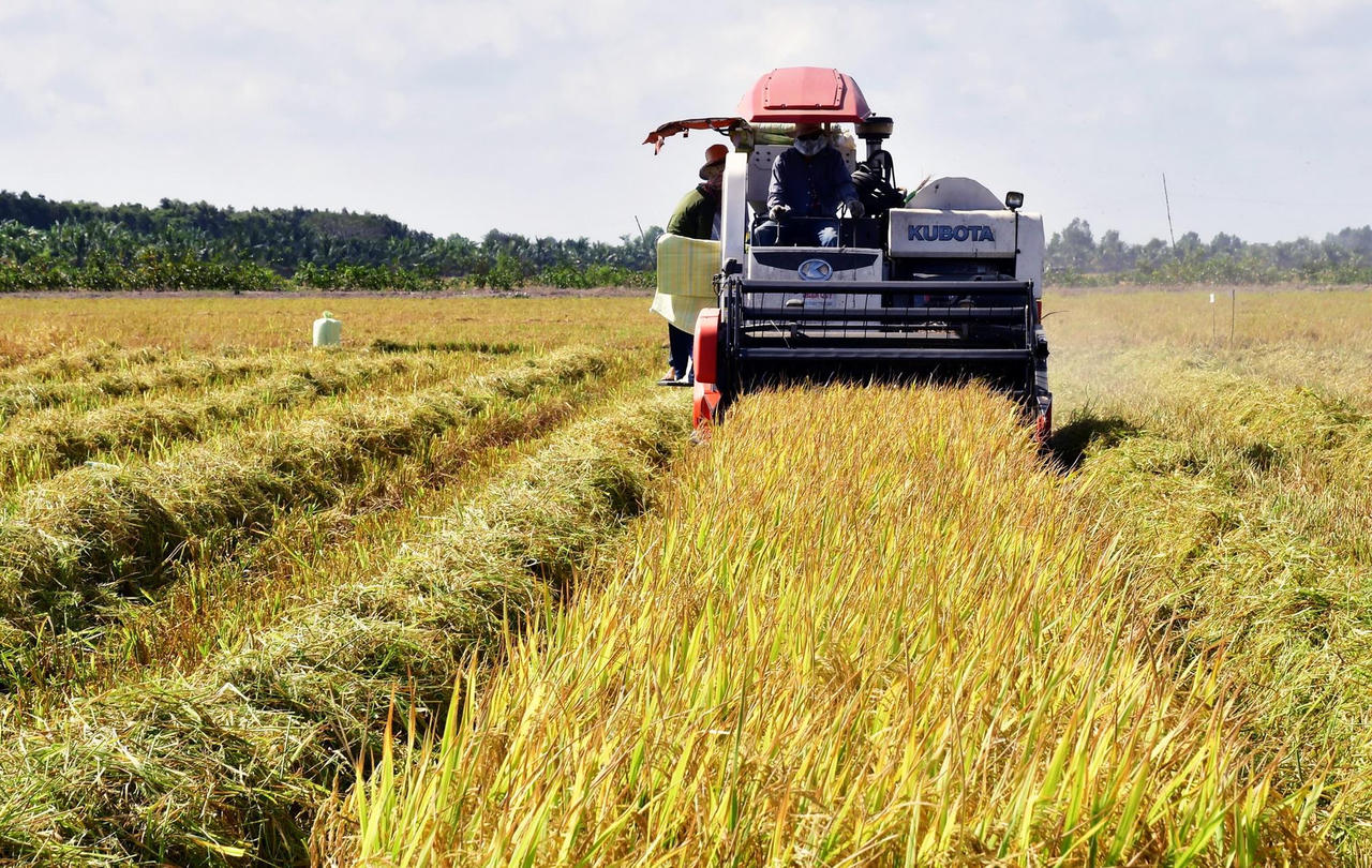 Xây dựng NTM gắn với quá trình phát triển đô thị hóa