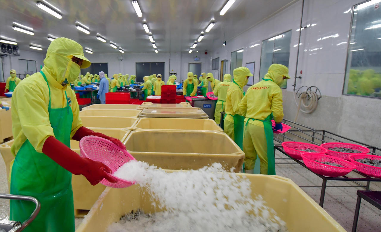 Cà Mau nâng tầm sản phẩm nông nghiệp để xuất khẩu