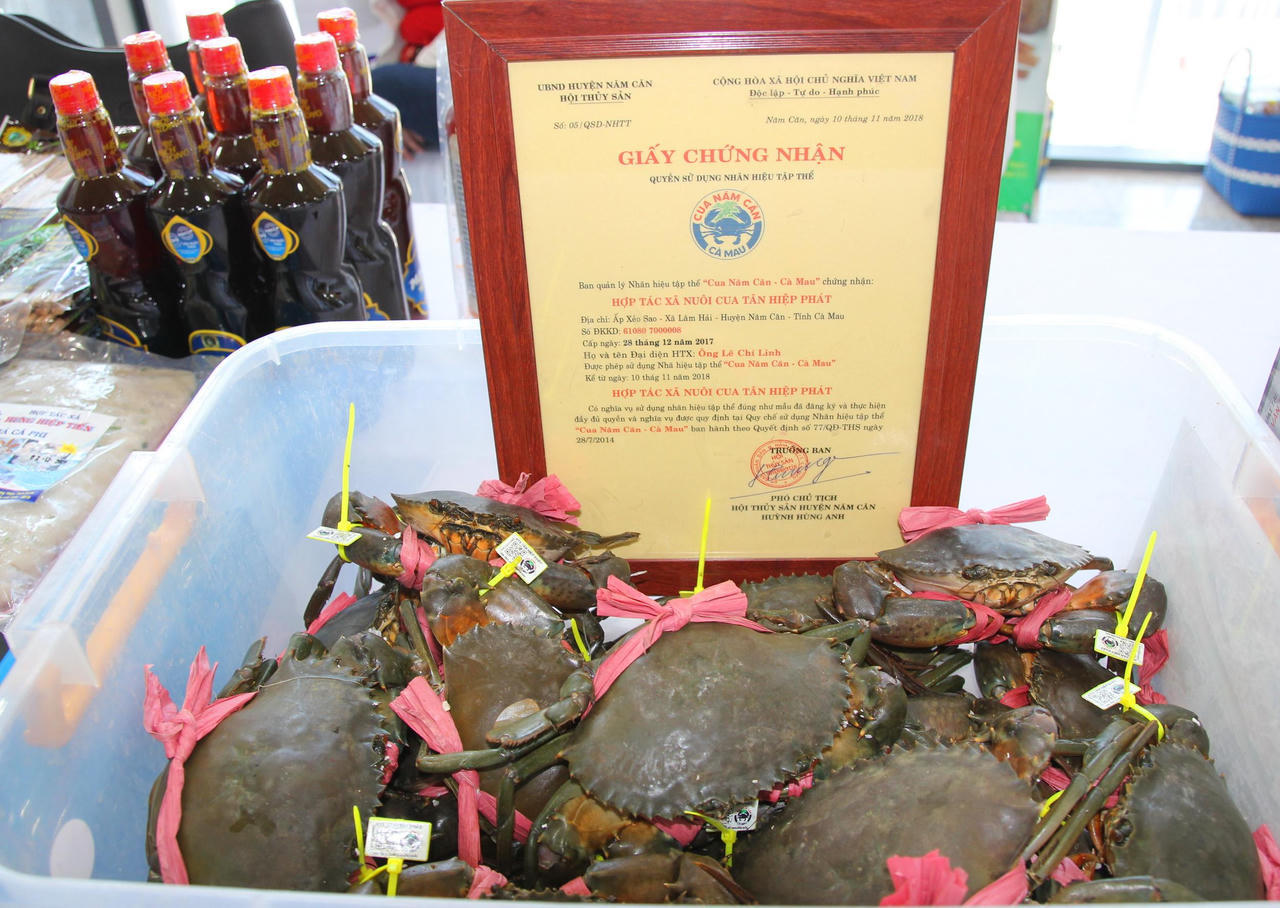 Cà Mau 'rục rịch' phục hồi du lịch sau đại dịch COVID-19 