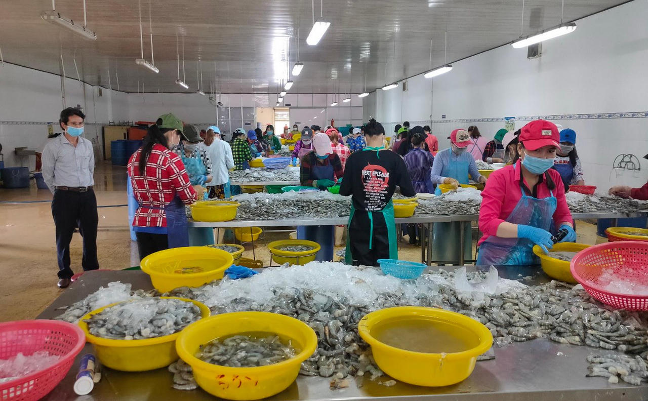 "Vùng xanh" của Bạc Liêu chủ động chặn dịch COVID-19 từ cửa biển