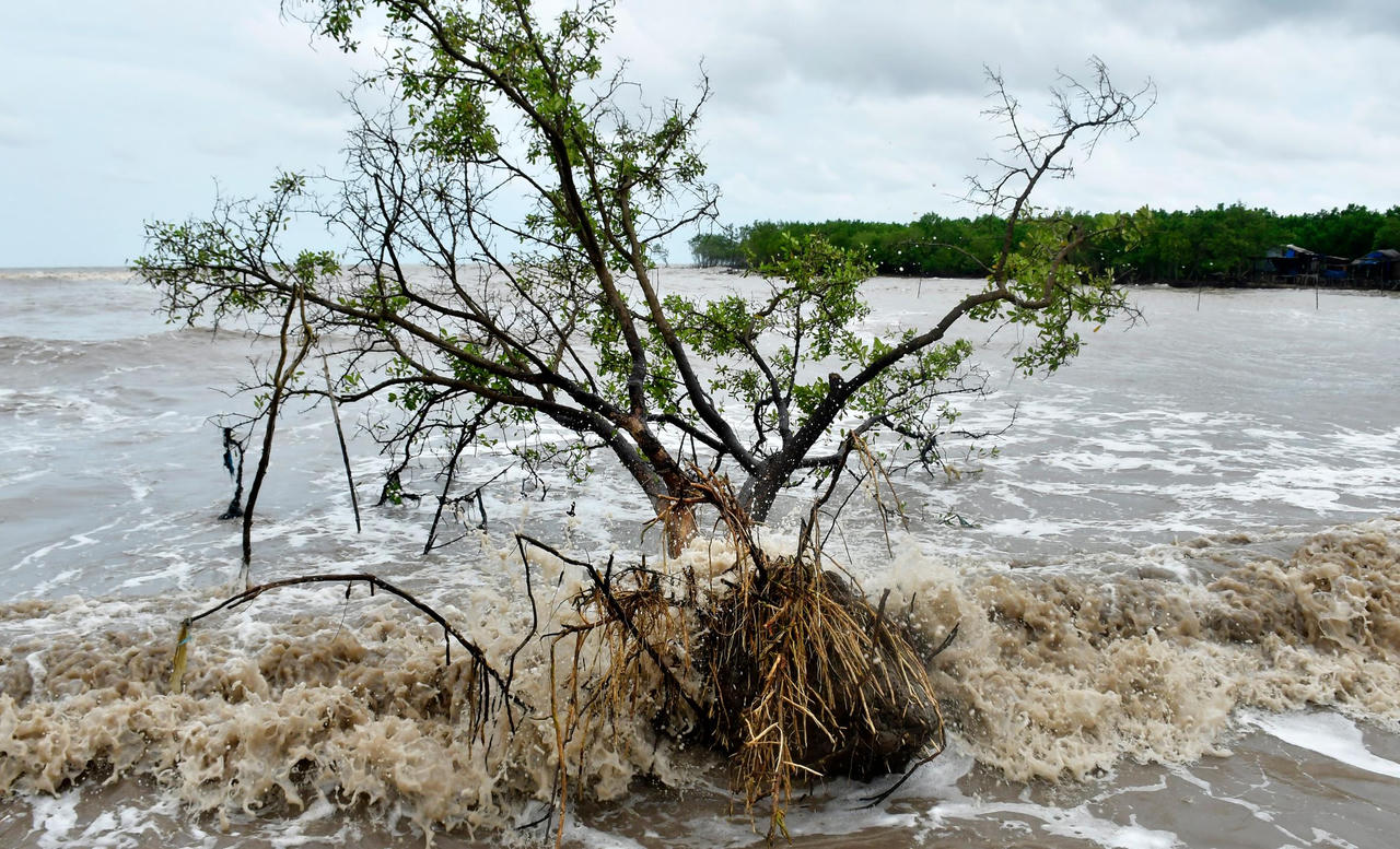 Bờ biển Đông Cà Mau sạt lở nghiêm trọng