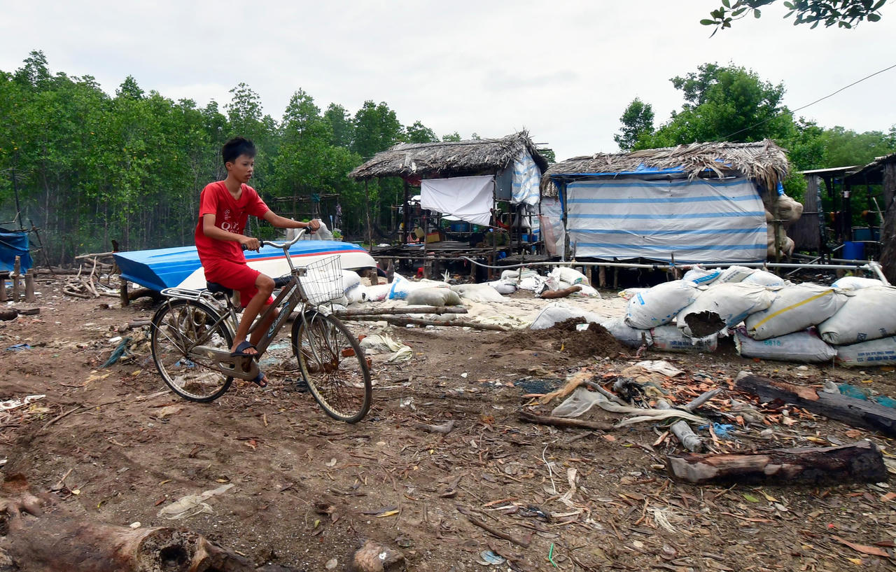 Bờ biển Đông Cà Mau sạt lở nghiêm trọng