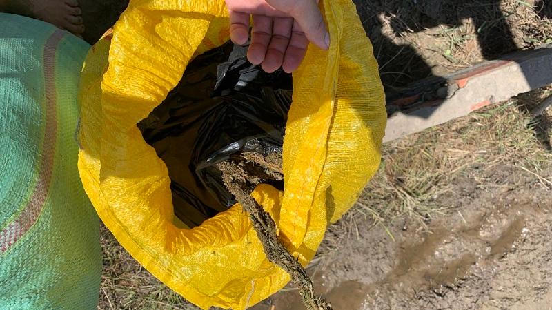 Bắt giữ 2 vụ vận chuyển trái phép hơn 21 kg nghi là cần sa