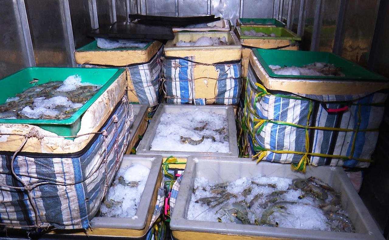 Phát hiện xe tải vận chuyển gần 01 tấn tôm chứa tạp chất