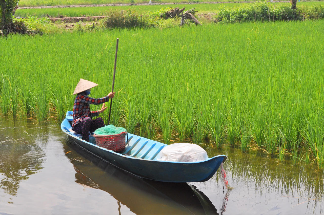 Huyện Thới Bình, Cà Mau phấn đầu về đích huyện điểm nông thôn mới