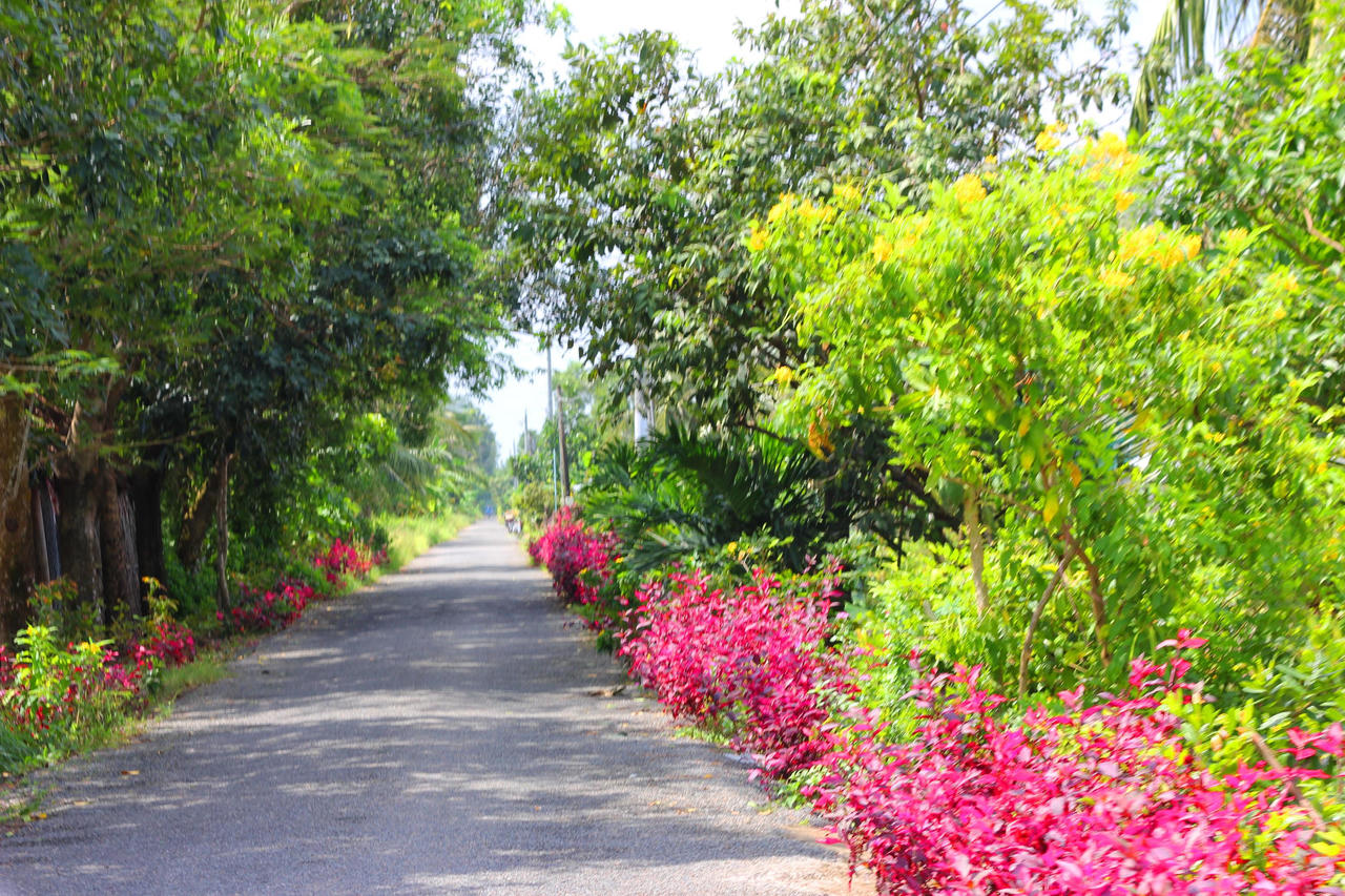 Huyện Thới Bình, Cà Mau phấn đầu về đích huyện điểm nông thôn mới