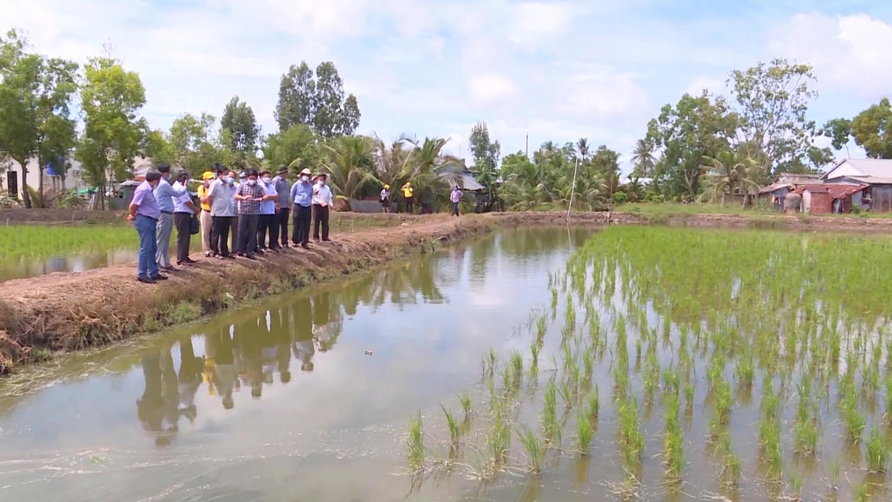 Huyện Thới Bình, Cà Mau phấn đầu về đích huyện điểm nông thôn mới