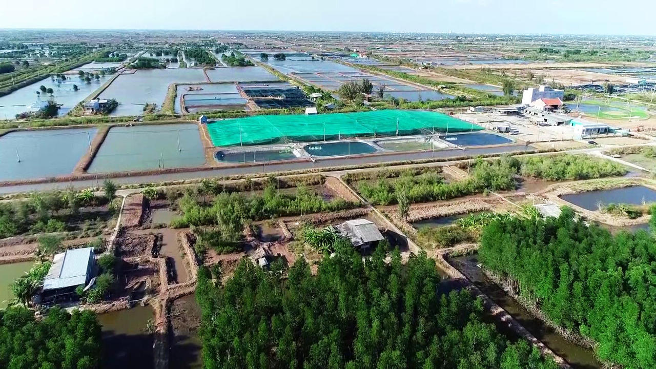 Khu vực kinh tế tập thể tỉnh Bạc Liêu có nhiều chuyển biến tích cực