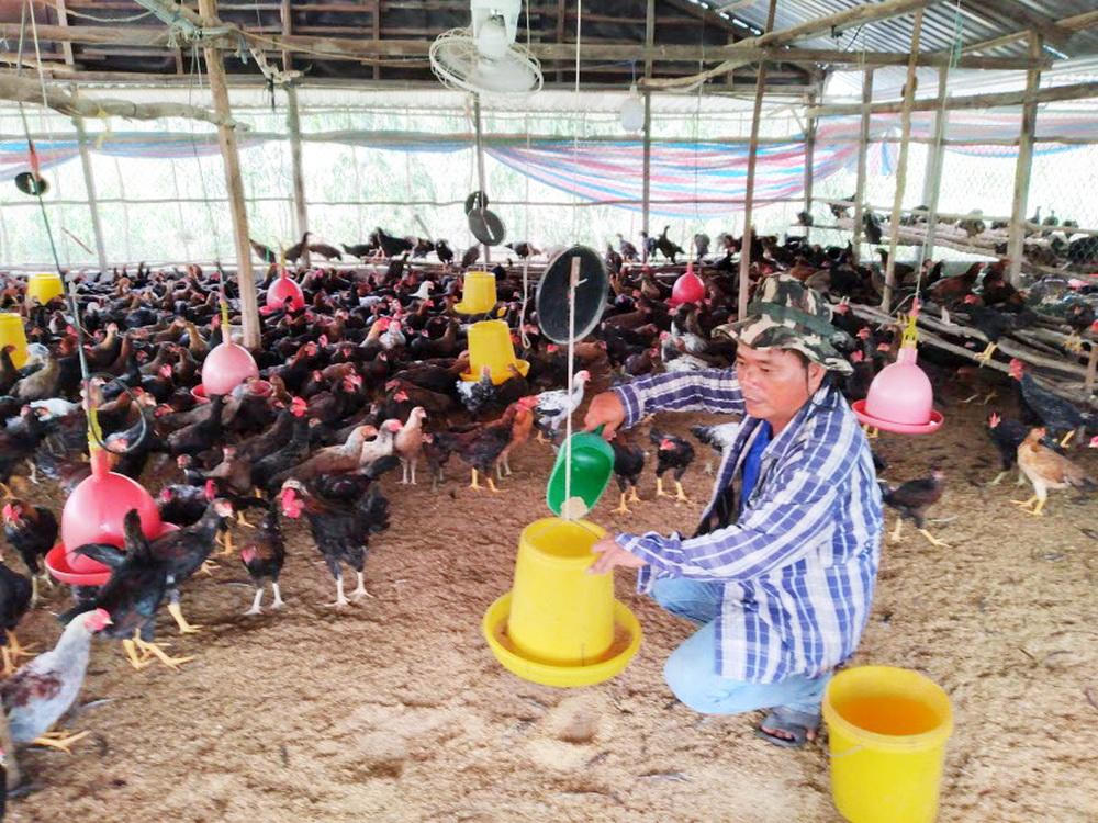 Huyện U Minh, Cà Mau: sản xuất nông, ngư, lâm nghiệp cơ bản đạt chỉ tiêu kế hoạch đề ra