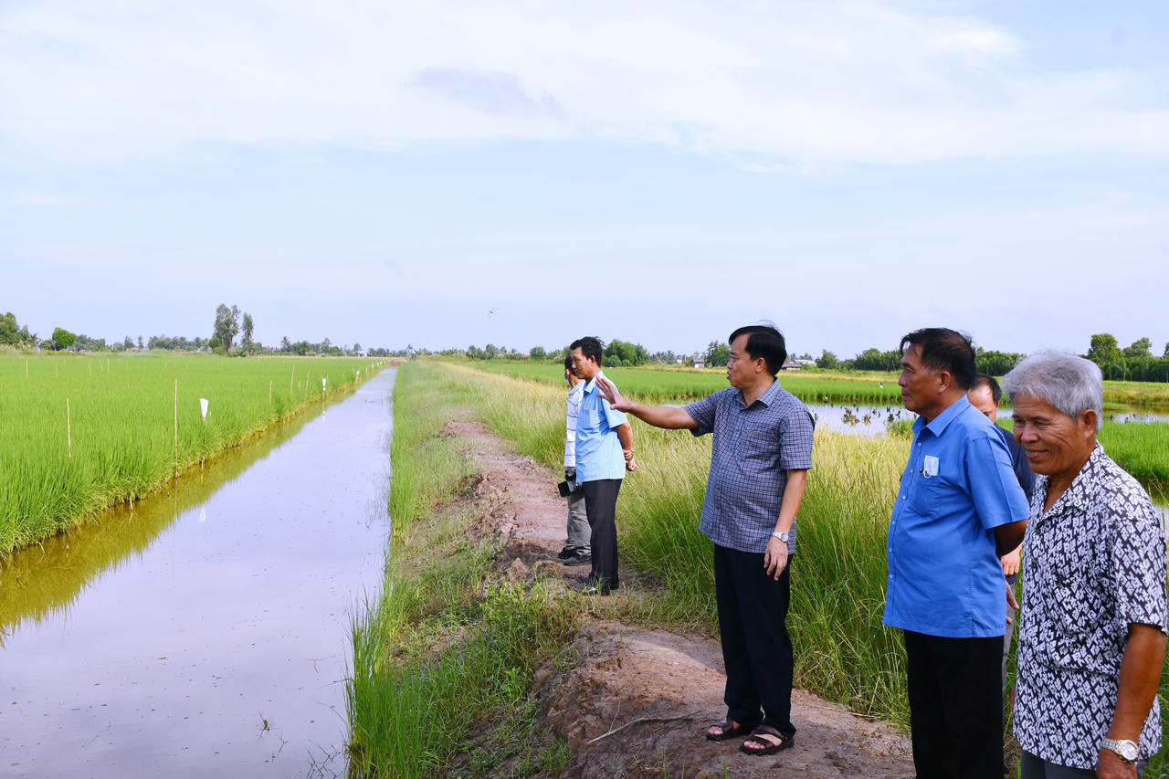 Nâng cao hiệu quả kinh tế hợp tác xã ở Cà Mau