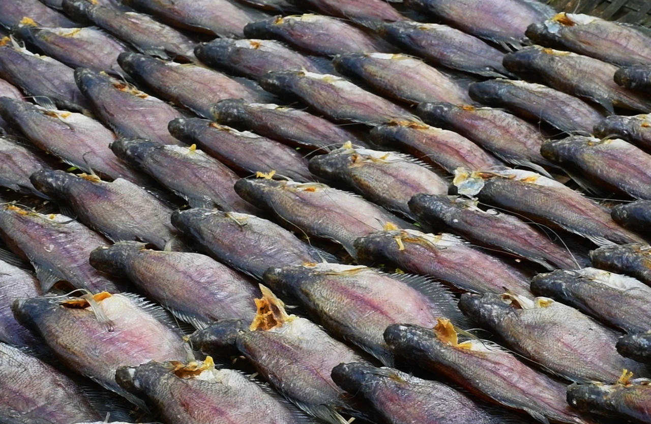 Nâng cao chất lượng thương hiệu cá khô bổi ở Cà Mau