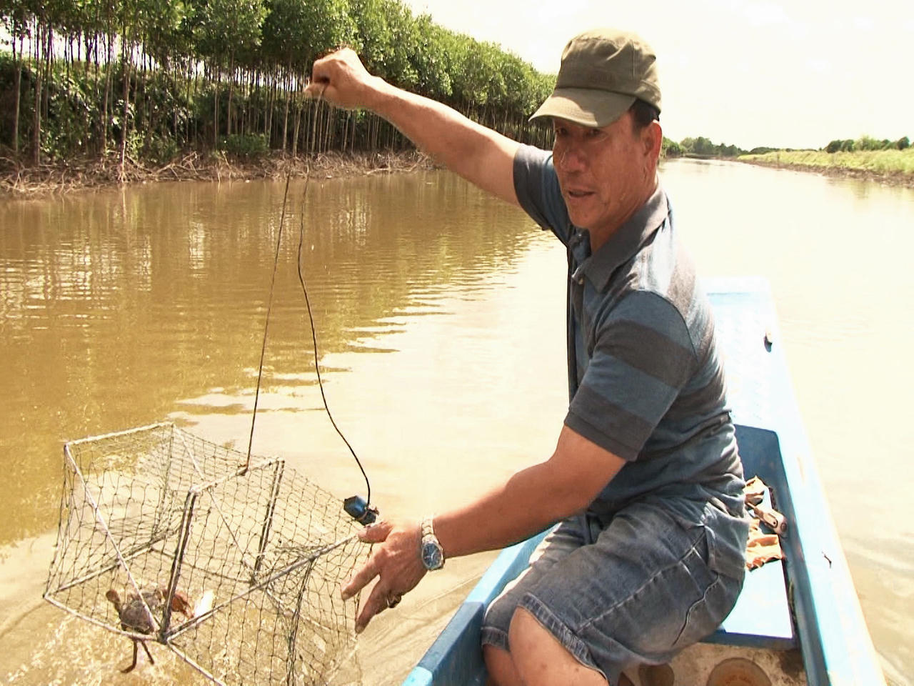 Đưa cua Cà Mau ra thế giới