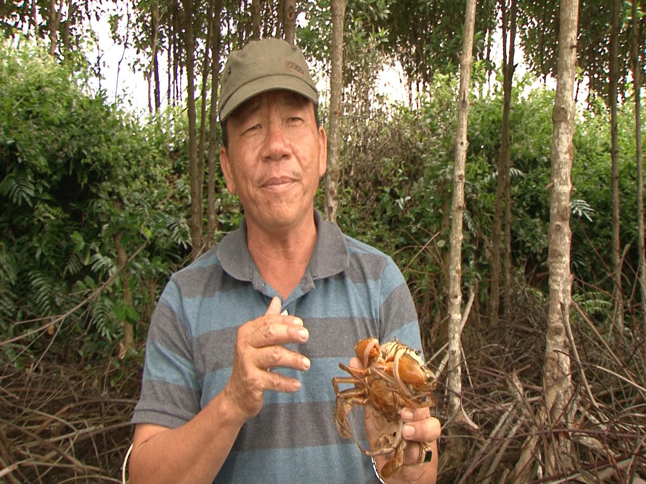 Đưa cua Cà Mau ra thế giới