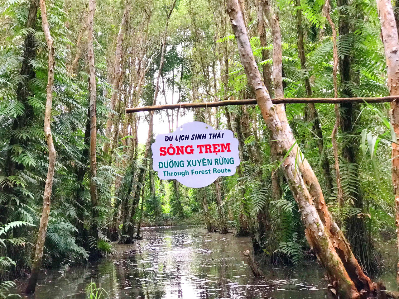 Đi vỏ lãi khám phá rừng Cà Mau 