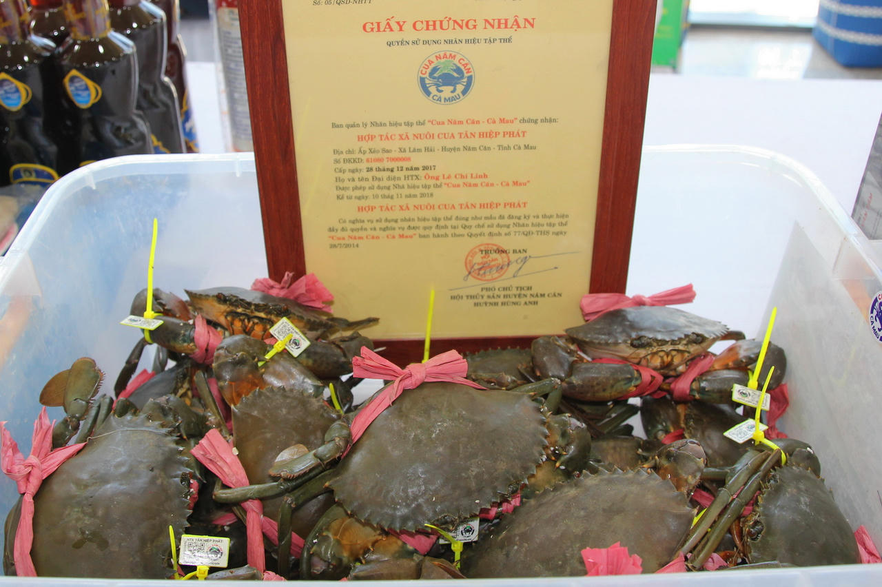 Quảng bá thương hiệu Cua Cà Mau, góp phần phát triển kinh tế hiệu quả