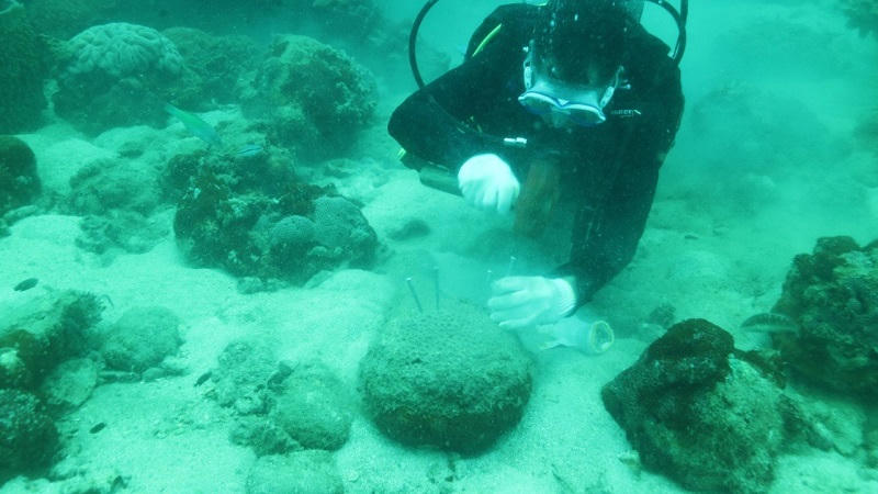 Vườn quốc gia Phú Quốc- “báu vật” Đảo Ngọc