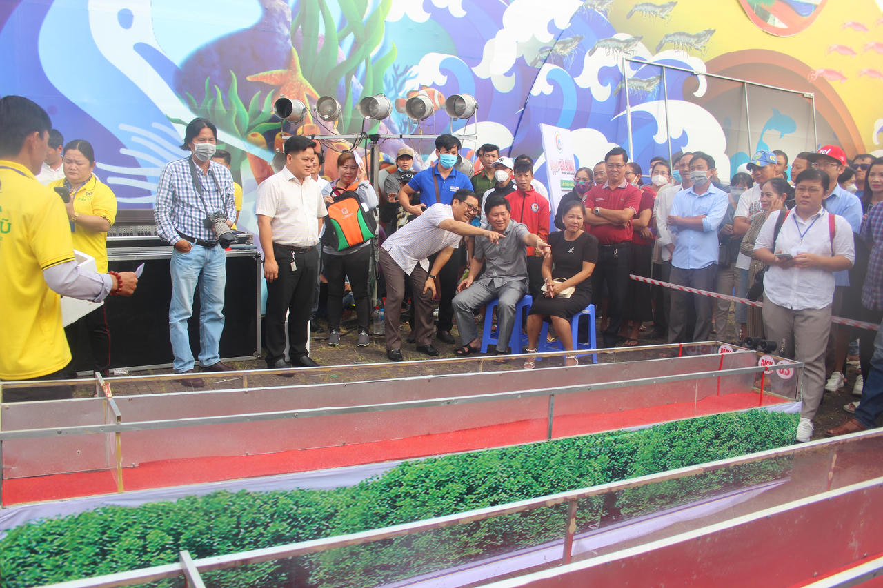 Kịch tính cuộc đua cua tại Cà Mau