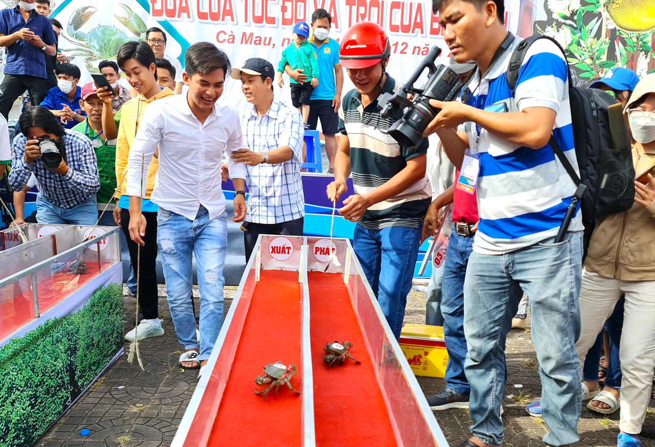 Kịch tính cuộc đua cua tại Cà Mau