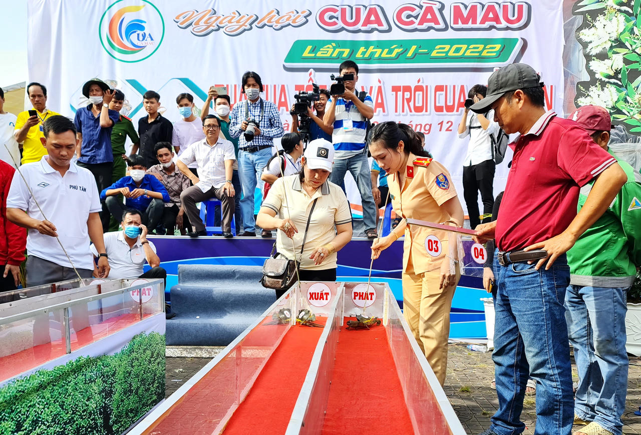 Kịch tính cuộc đua cua tại Cà Mau