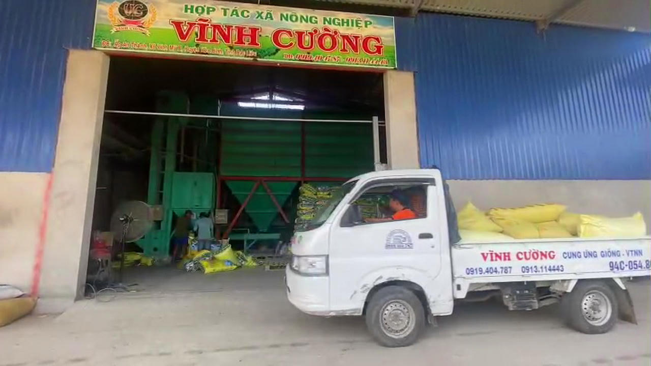 Hợp tác xã ở Bạc Liêu ngày càng cải thiện chất lượng dịch vụ, sản phẩm
