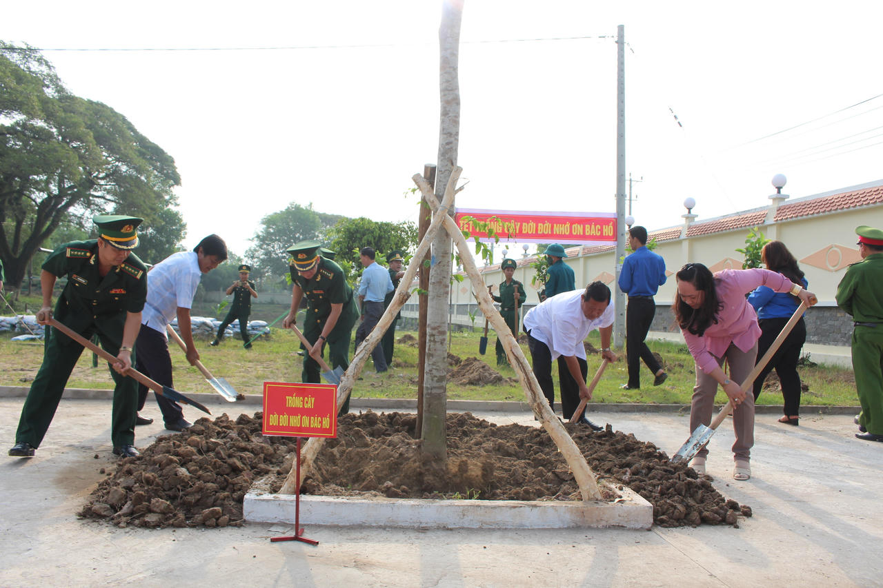 Cả nước tích cực 'ra quân' hưởng ứng Tết trồng cây