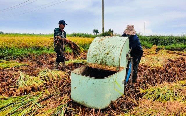 Quảng Nam khẩn trương chống bão số 5, cứu hộ tàu cá vào bờ an toàn