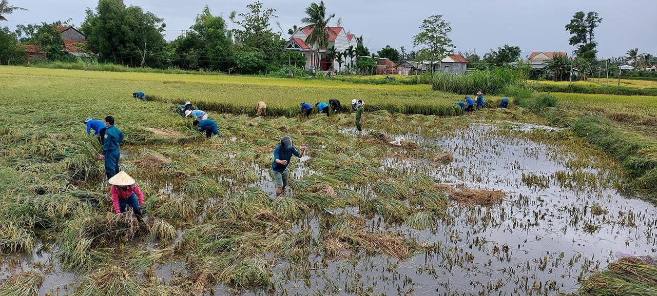 Quảng Ngãi ngập nhiều nhà, hỏng 1.500 ha lúa và hoa màu, di dời hàng trăm người do mưa bão