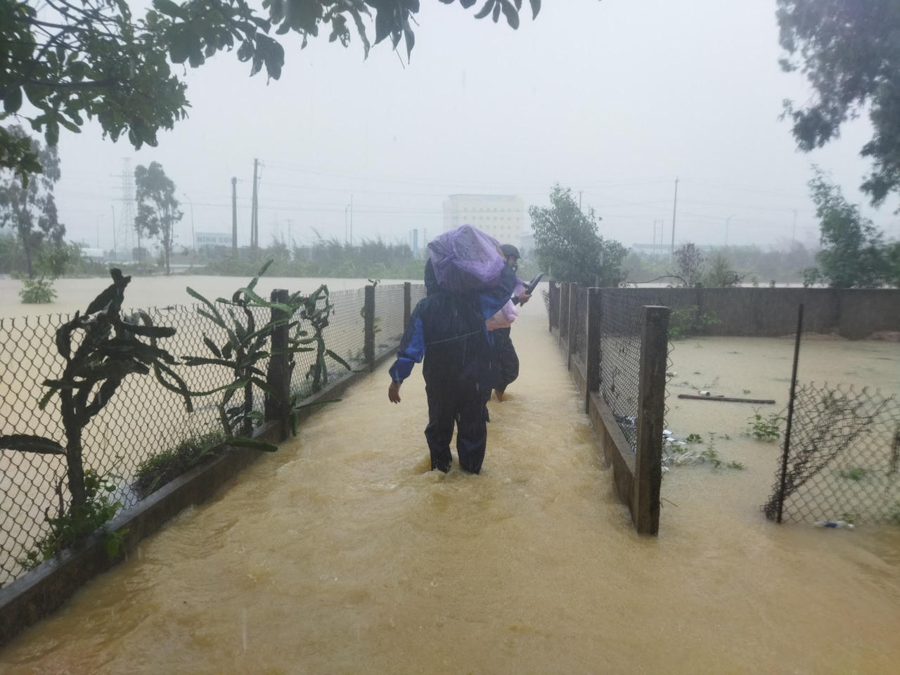 Quảng Ngãi ngập nhiều nhà, hỏng 1.500 ha lúa và hoa màu, di dời hàng trăm người do mưa bão