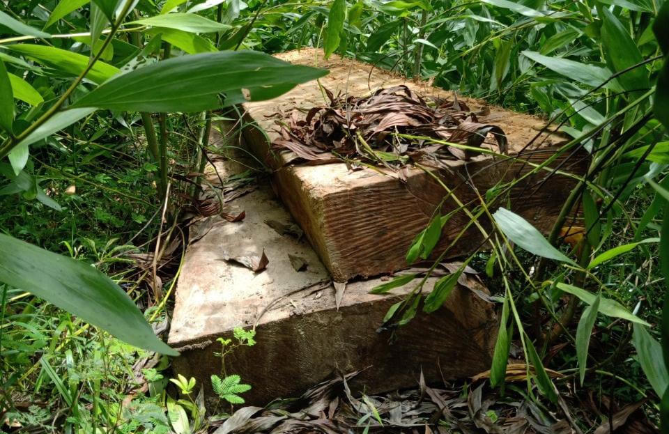 Tạm giữ 3,3 mét khối gỗ không rõ nguồn gốc tập kết tại rẫy keo 