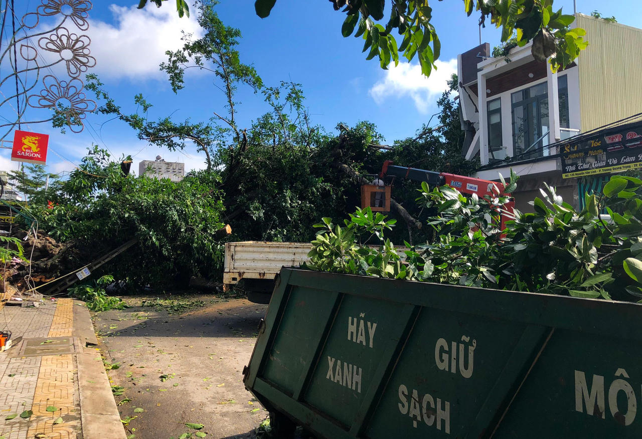 Cây đa hơn 200 tuổi bật gốc đè 1 người tử vong