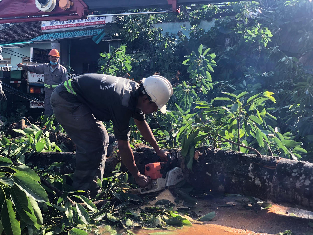 Cây đa hơn 200 tuổi bật gốc đè 1 người tử vong