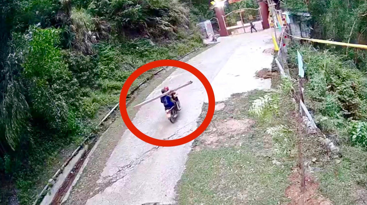 Rừng phòng hộ đầu nguồn Thác Trắng bị khai thác trái phép