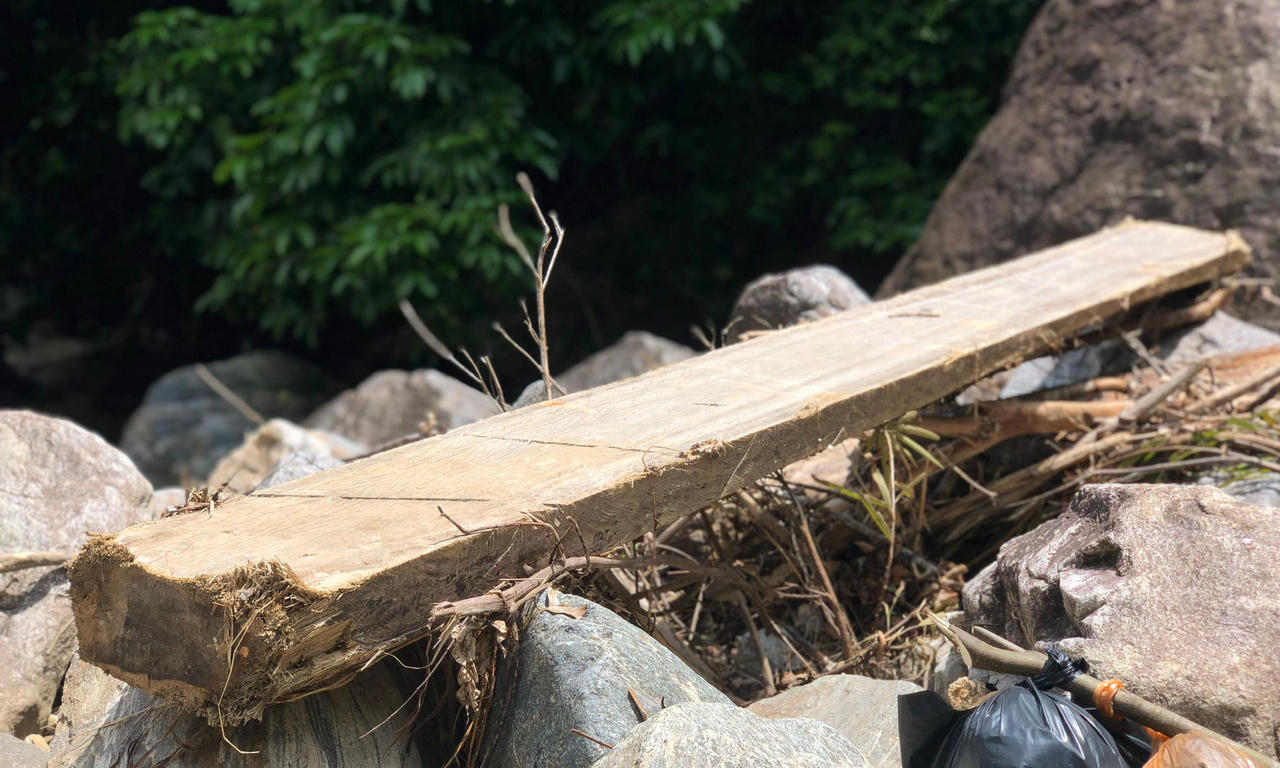 Rừng phòng hộ đầu nguồn Thác Trắng bị khai thác trái phép