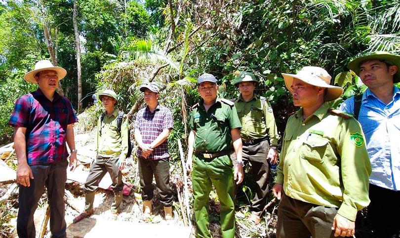 Hàng chục m3 gỗ trong Rừng phòng hộ bị đốn hạ, chính quyền mới "bắt tay" vào xử lý