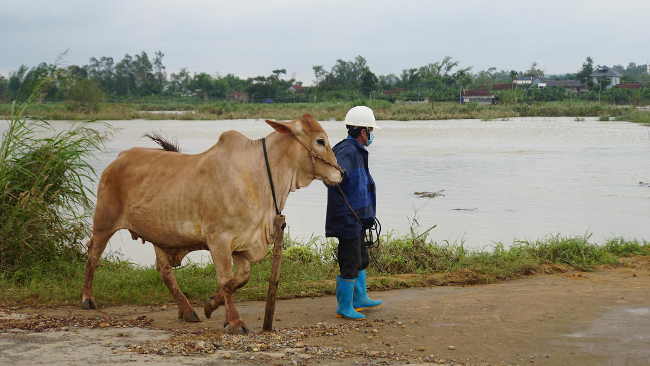 Quảng Ngãi khẩn trương khắc phục hậu quả mưa lũ