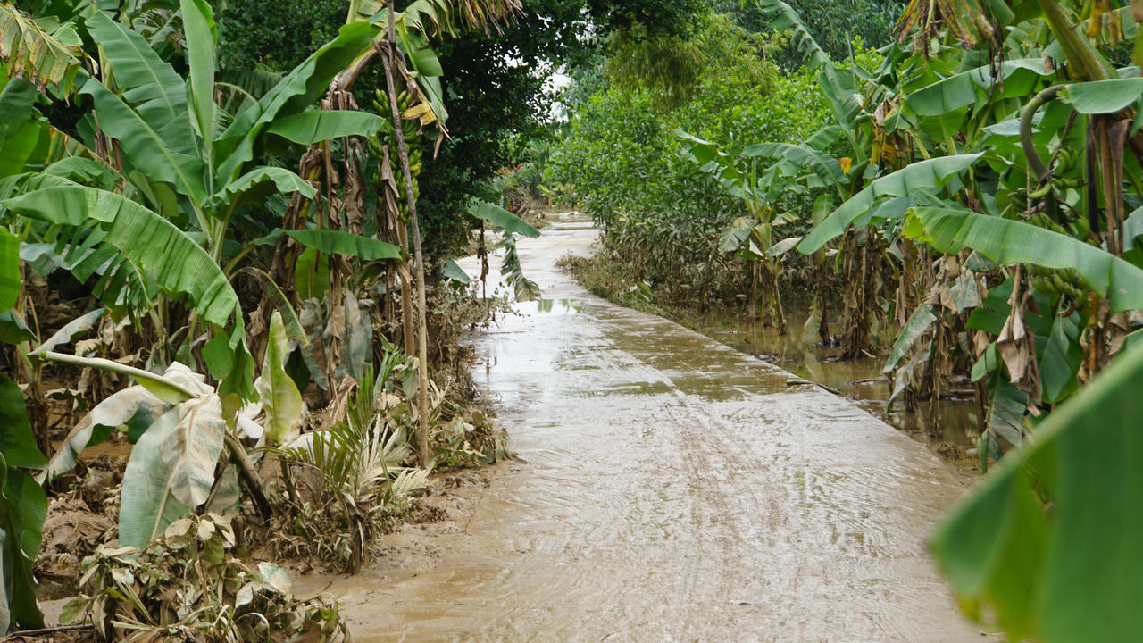 Quảng Ngãi khẩn trương khắc phục hậu quả mưa lũ