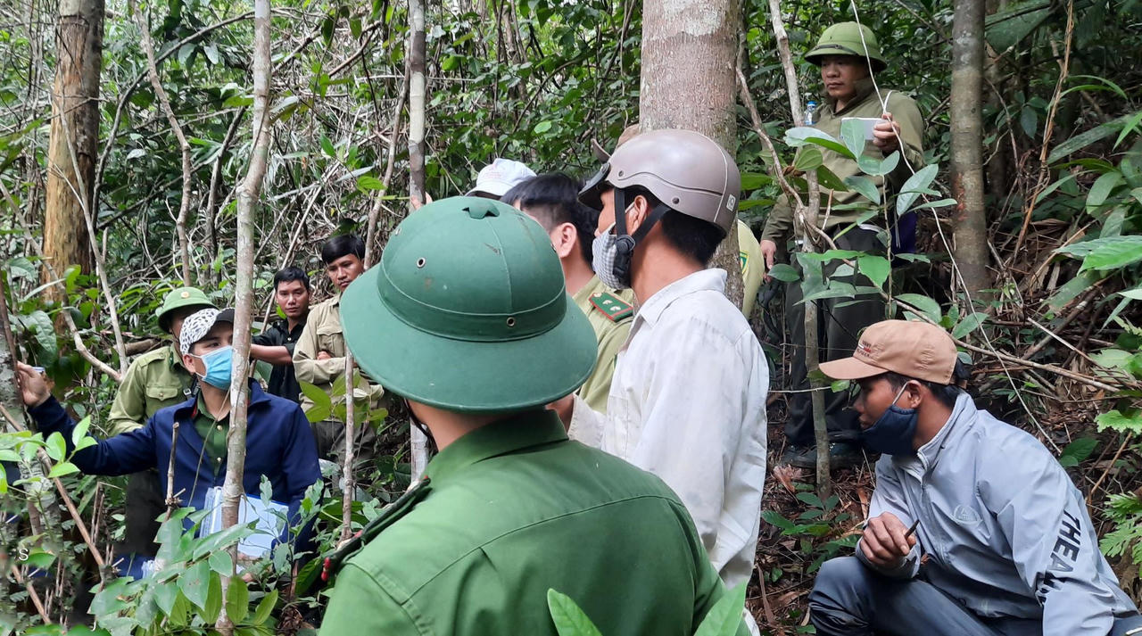 Quảng Ngãi: khởi tố hai đối tượng bắn chết 5 cá thể vọoc chà vá chân xám quý hiếm