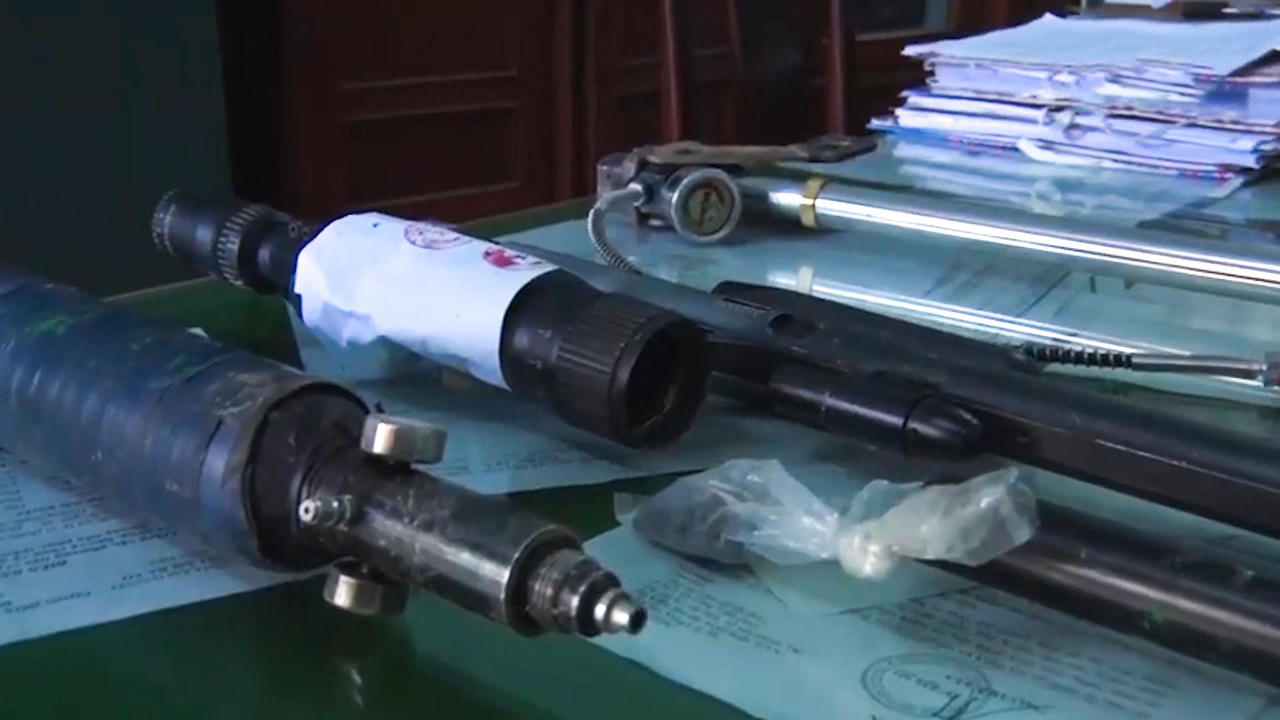 Quảng Ngãi: khởi tố hai đối tượng bắn chết 5 cá thể vọoc chà vá chân xám quý hiếm