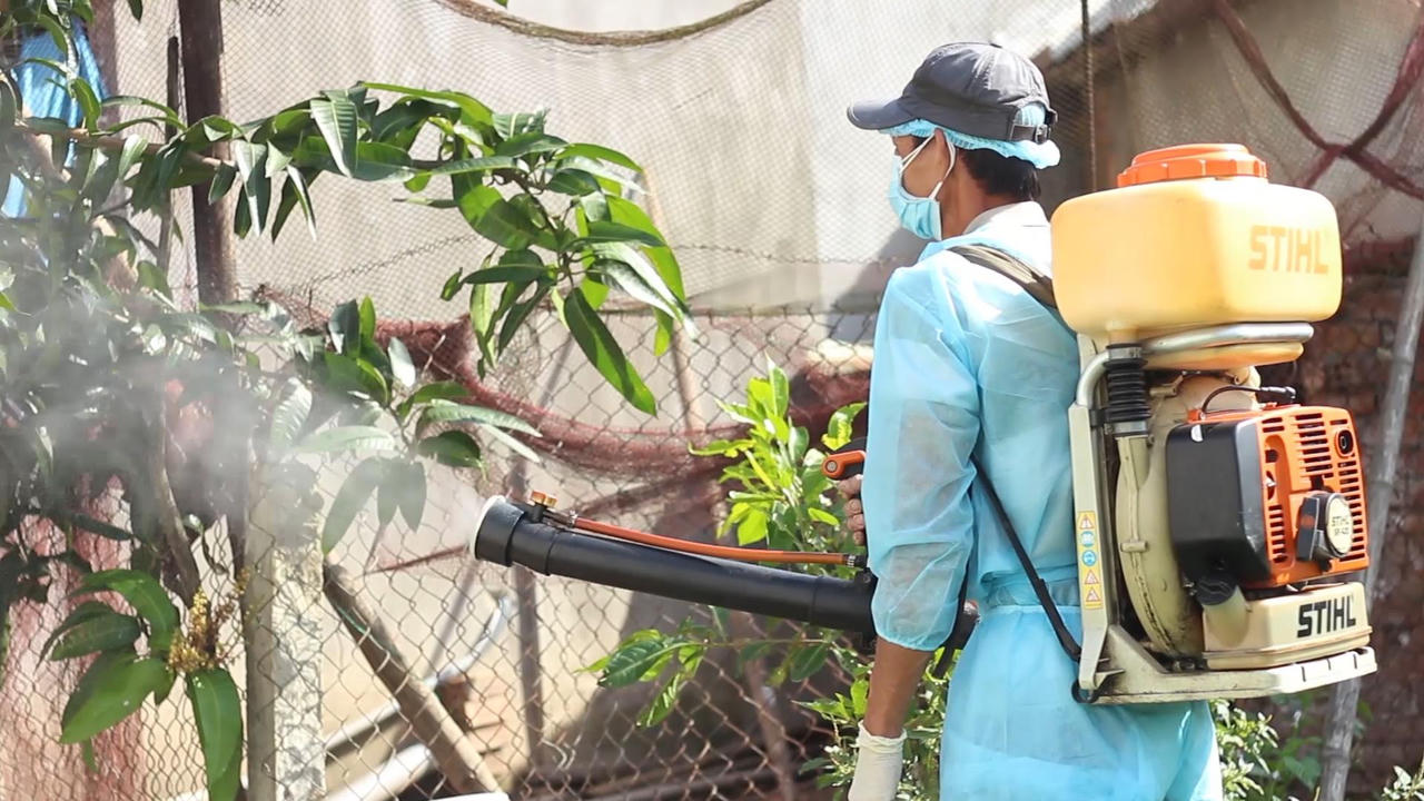 Số ca mắc sốt xuất huyết tại Quảng Ngãi tăng cao