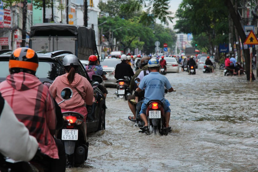 Dự báo triều cường tại Cần Thơ vượt mức báo động 3