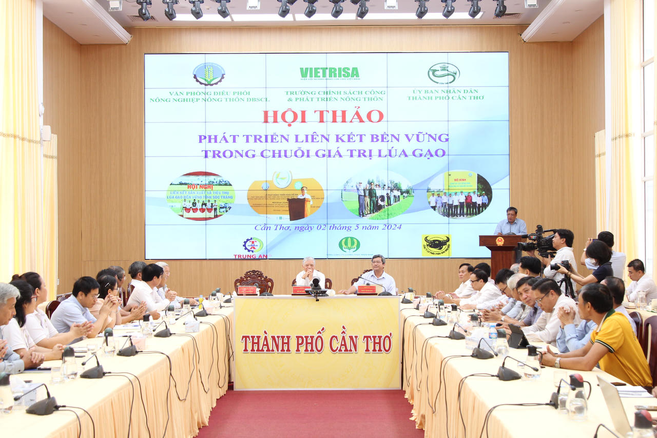 Phát huy vai trò của 'thương lái' trong chuỗi giá trị ngành hàng lúa gạo